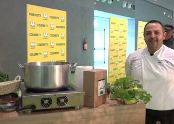 Evolio Expo, Al Via In Fiera La Tre Giorni Dedicata All’oro Di Puglia: L’olio Extra Vergine D’oliva – Video