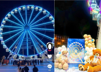 Gender Reveal Bari