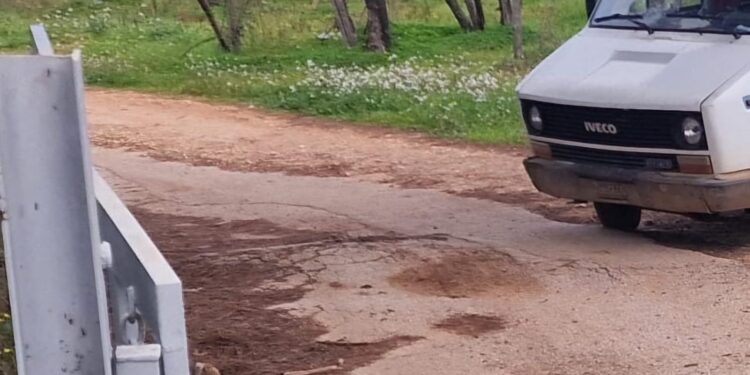 Mola Incidente
