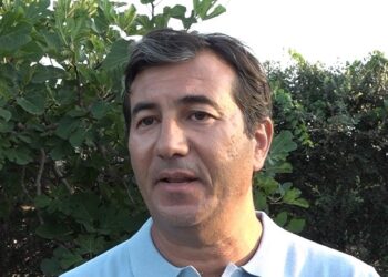Nicola Decaro