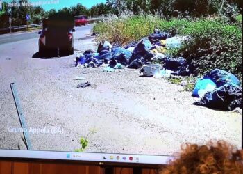 Nuova Stretta Per La Pulizia Della Città: Al Bando Bustoni Neri E Più Controlli Per Le Strade – Video