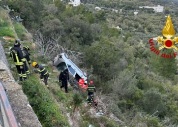 Salvataggio Vigili Del Fuoco3