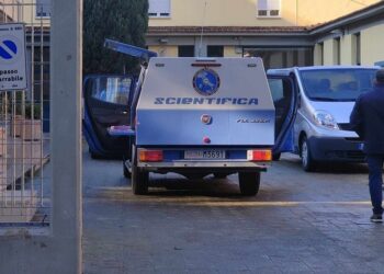 Scientifica Neonato