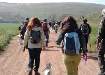 Trekking