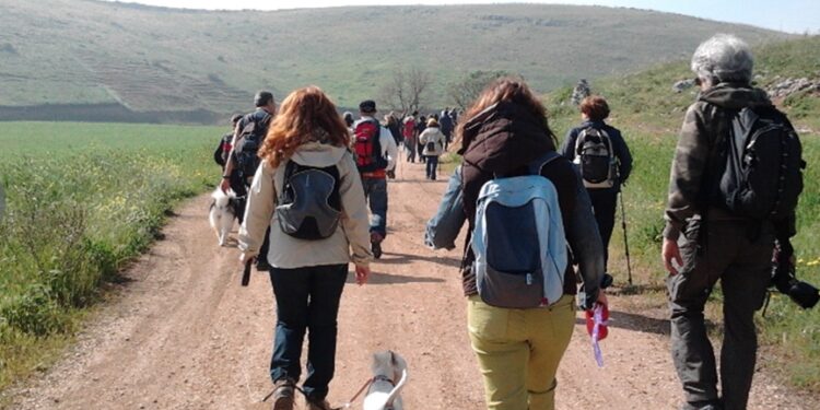 Trekking