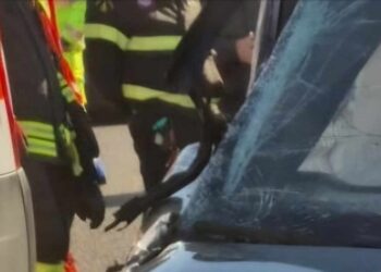 Vigili Del Fuoco Ambulanza Incidente Giorno
