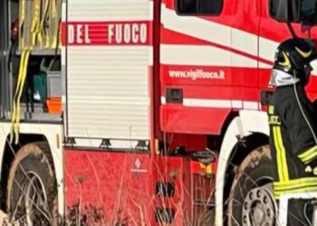 Vigili Del Fuoco Giorno Sterpaglie