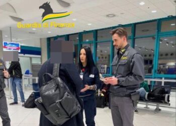 Finanza in aeroporto traffico cani