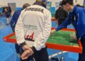 Subbuteo