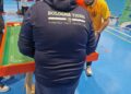 Subbuteo
