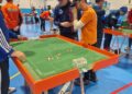 Subbuteo