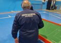 Subbuteo