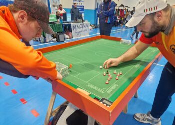 Subbuteo
