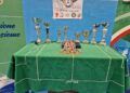 Subbuteo