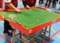 Subbuteo