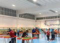 Subbuteo