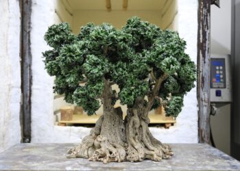 Il Barone ulivo