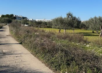 Sopralluogo Cantiere Bosco Urbano (3)