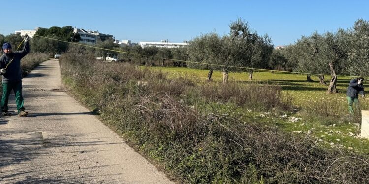 Sopralluogo Cantiere Bosco Urbano (3)