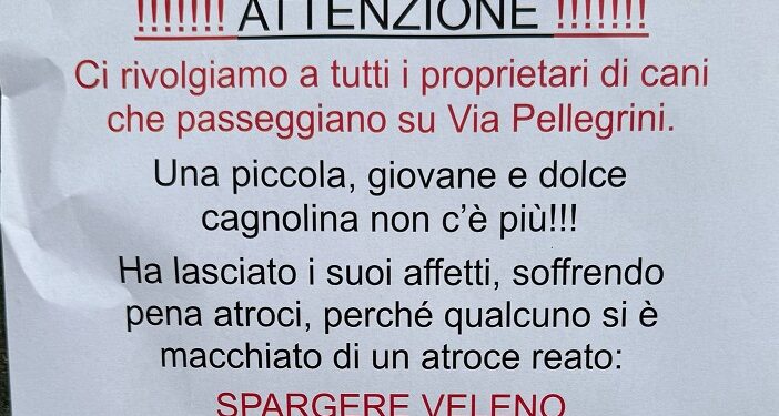 Appello Cani