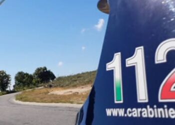 Carabinieri Operazione Via Col Vento 3 329385