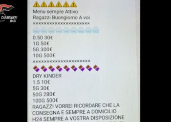 Droga Whatsapp