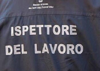 Ispettore Del Lavoro