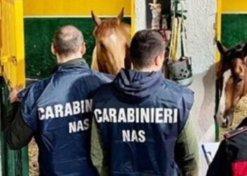 Nas Cavalli
