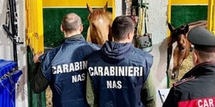 Nas Cavalli