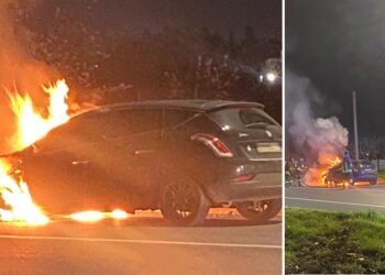 Palo Auto Fiamme