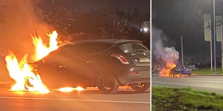 Palo Auto Fiamme