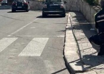 Polizia Locale San Paolo