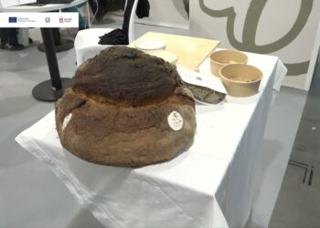 Promozione Culturale E Turismo Esperienziale: Così Altamura Si Presenta Alla Bit Di Milano – Video