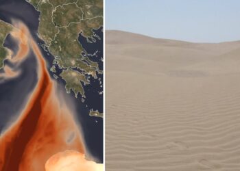 Sahara Nube