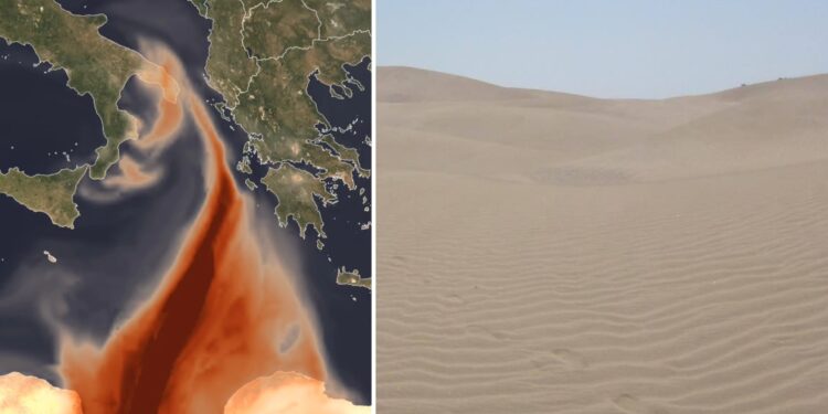 Sahara Nube