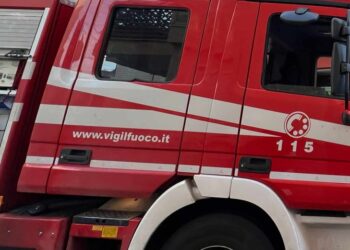 Vigili Del Fuoco Giorno