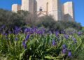 Castel del Monte animali
