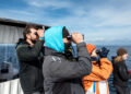 Ricercatori Jdcavvistano Balenottera Comune Foto Jdc