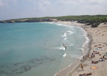 Torre Dell'orso