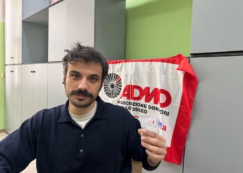Admo Saurino 3