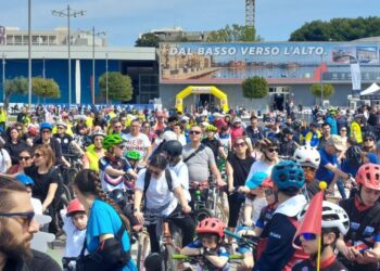 Bari Pedala