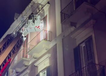 Bari, Singolare Intervento Per I Vigili Del Fuoco: Liberano Gabbiano Intrappolato Su Un Balcone – Video