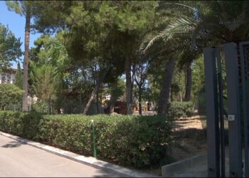 Dal Parco Della Rinascita A Al Castello, In Primavera Si Apre La Stagione Del Verde A Bari – Video