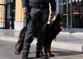Finanza Cane