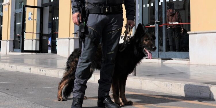 Finanza Cane