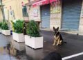 Fb Img 1743067031899 (1) (1)