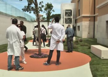 In Puglia Il 35% Dei Medici Di Famiglia Supera I 1.500 Assistiti, Gimbe: “non C’è Ricambio Generazionale”