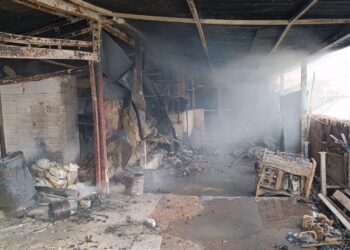 Incendio Tremiti4