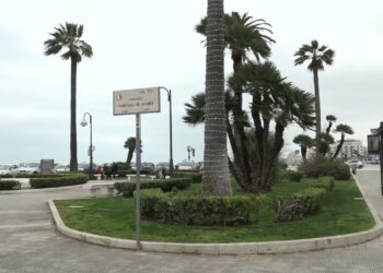 Maltempo, Forti Raffiche Di Vento A Bari E Provincia: Resta L’allerta Gialla Fino A Lunedì – Video
