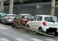 Ramo Caduto2